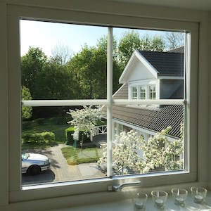 View from the window